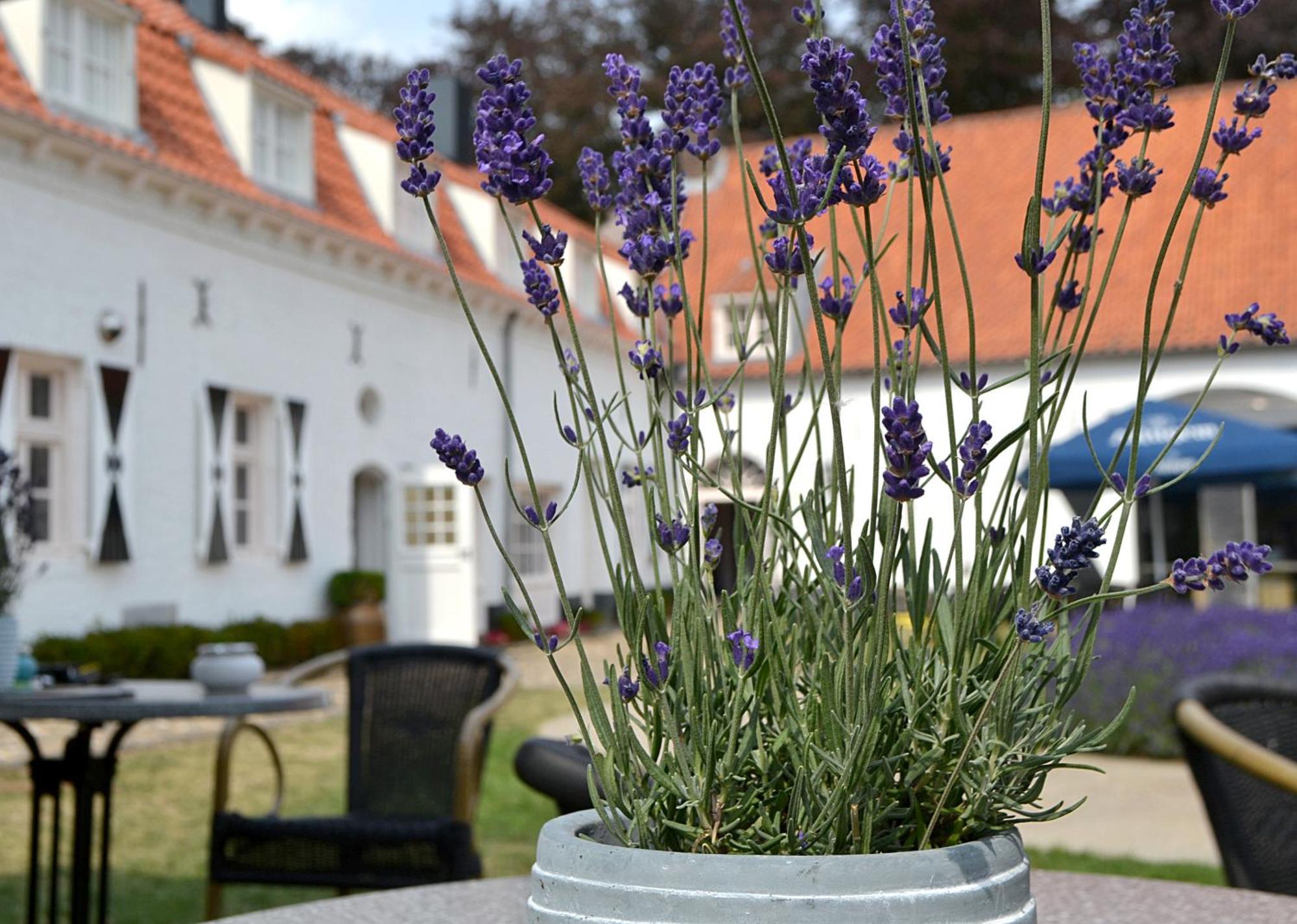 Kasteel Aldenghoor Bed and Breakfast Haelen Exteriör bild